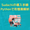 【導入手順】Sudachiをインストールして形態素解析をしてみた！