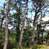 野島公園散策！