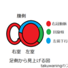 冠動脈の支配領域