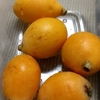 カメラテスト