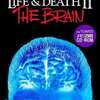 FMT　CDソフト　LIFE ＆ DEATH II THE BRAINというゲームを持っている人に  大至急読んで欲しい記事