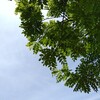 【自分だけの“定義”をもつ】自由、自立、共感、そして自分にとってのしあわせを、深く深く考える