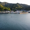 深海の写真を残す　2021/04/15　深海湾にイルカ