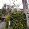 廃れた雰囲気を楽しむ　洛北 蓮華寺