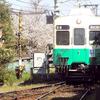 長尾線を走る桜と1200形1255-1256号