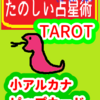 ディスクの９　乙女座11～20度　ピップカード「小アルカナ」　たのしい占星術TAROT