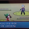 ポケモンエメラルドプレイ日記