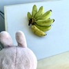 チェンマイ生活３年目にして初体験💦チェンマイの雨季ならでは？のちょっとした悩み
