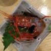 函館 Vol.9 ＜海鮮居酒屋・海がき本店＞