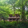 貴船神社・七夕笹飾りライトアップ