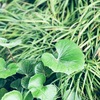 ５月２０日