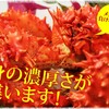 花咲ガニ姿オス、濃厚なカニ身を通販できるのはこちら