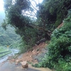 長崎県　五島列島　福江島　大雨と風により大打撃にあいました😭😣😞