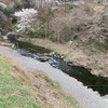 4月5日(土)秩父フライフィールドの河川情報
