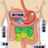   【基礎から学ぶ】大腸の機能（排便機構）【生理学】