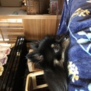 wakuzoのブログ