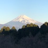 今朝の景色