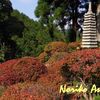 奥浜名湖の隠れた紅葉スポット「長楽寺」