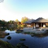 週末の紅葉見頃はここ！東海編・・・