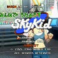 スカイキッドとは ゲームの人気 最新記事を集めました はてな