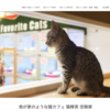 ★渋谷★ 猫喫茶 空陸屋plus 渋谷スペイン坂店を徹底レビュー！