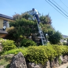 道具は使ってなんぼ - (有)香西園ブログ kouzaiびより