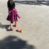  アンパンマンにゴムひもつけてそれいけアンパンマンとか言って飛ばして遊んでたら、子どもが別の遊びが気に入ってしまい。