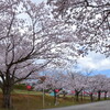 柳田植物公園