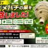 男鹿市でスズメバチの巣を駆除しました｜秋田県の蜂駆除ならアメージング企画秋田