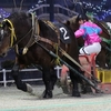 大友一馬騎手がデビュー２戦目で初勝利！ ミンナノユメヲノセも通算６勝！ そして私も2020年以来年間二桁10勝！