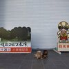 日本ロマンチック街道_日光杉並木