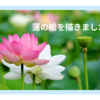 初めてでも安心！蓮の花を描く楽しい時間