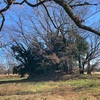 鹿島古墳群(70, 78, 82号墳)   深谷市本田