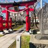 小千谷市内5ヶ所の桜スポットを巡ってみよう！（2021年）