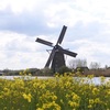 オランダ旅行！4日目②-Kinderdijk- ユネスコ世界遺産キンデルダイクの風車