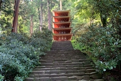 奈良と私｜文・ガクヅケ 木田