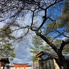 年末詣・・・竹駒神社