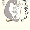 【うちの猫がまた変なことしてる。】漫画はどんな話？ネタバレなし｜箱に詰まる理由だけは、十年見ていても教えてもらえない