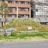 研究学園駅前のミニ筑波