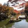 秋晴れの弘前城菊と紅葉まつり♪飛翔花朱雀