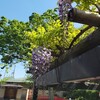 ４月１０日土