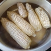 【沖縄生活】父の畑で採れた野菜②～白いトウモロコシ