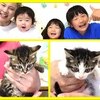 7月8日の動画