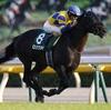 競馬初心者必見☆馬券予想🔥〜富士ステークス〜購入馬券大公開㊙︎