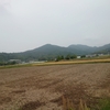 試してみた。