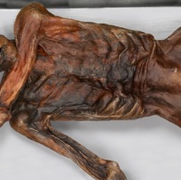 5300年前のミイラ アイスマン 最後の2日間とその死因 オカルトひろば
