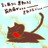 占ってみた20241014