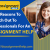 Assignment help: Top reasons to reach out to professionals 