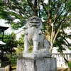 秋が来た！久しぶりに寒さを感じた朝【こま犬コレクション】