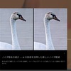 JPEG写真のノイズ除去を無料でできるサイト 「MyEdit」。
